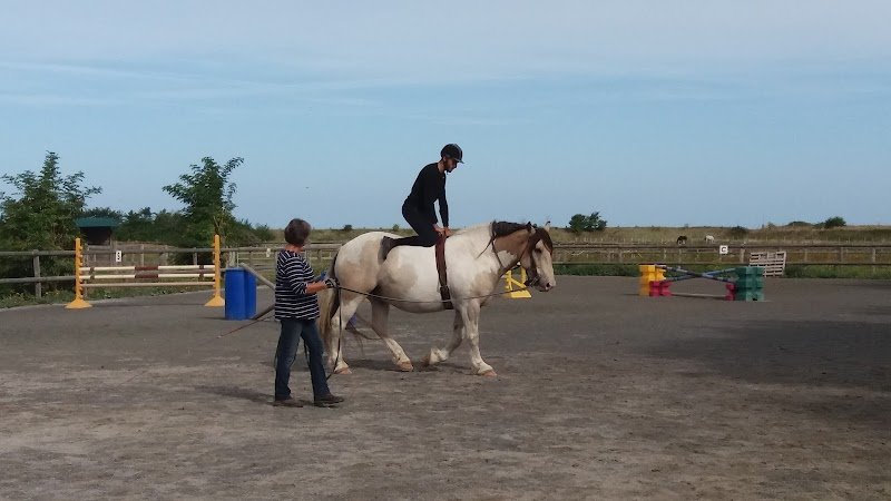 Gite de groupe, mont St Michel. Les Crinières de la Baie. Bretagne. Pension équestre - photo 3