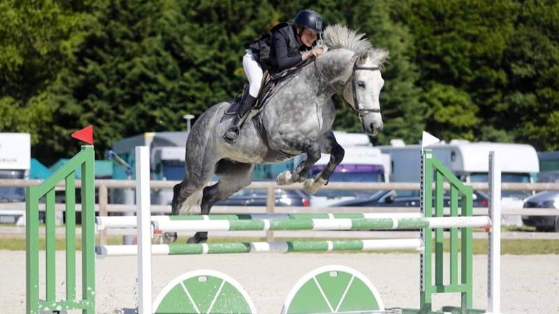 Écuries de la Belle Étoile - photo 1