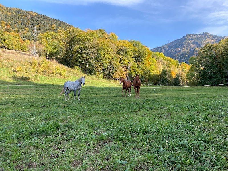 Écuries de la Belle Étoile - photo 2