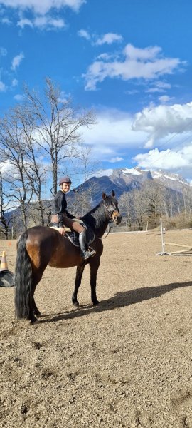 Écuries de la Belle Étoile - photo 3