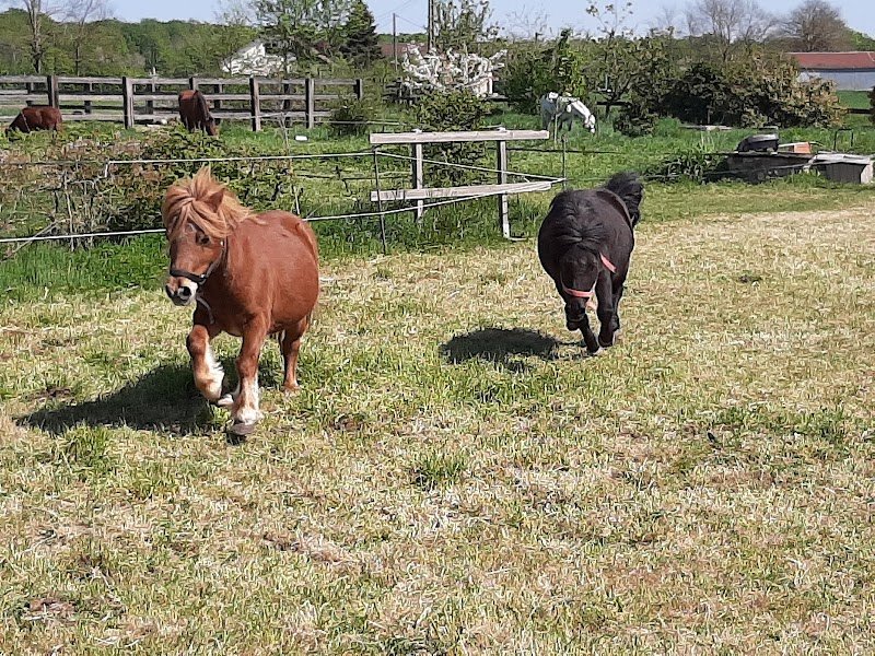 ECURIE BRUNO GAREZ - photo 3