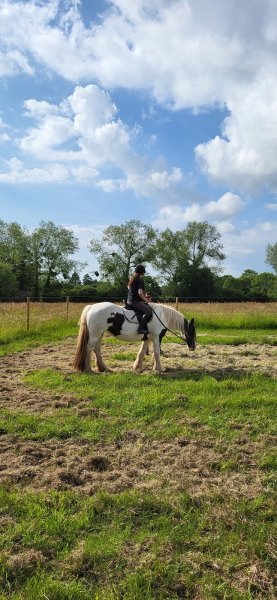 Ferme Equestre de Percy - photo 1