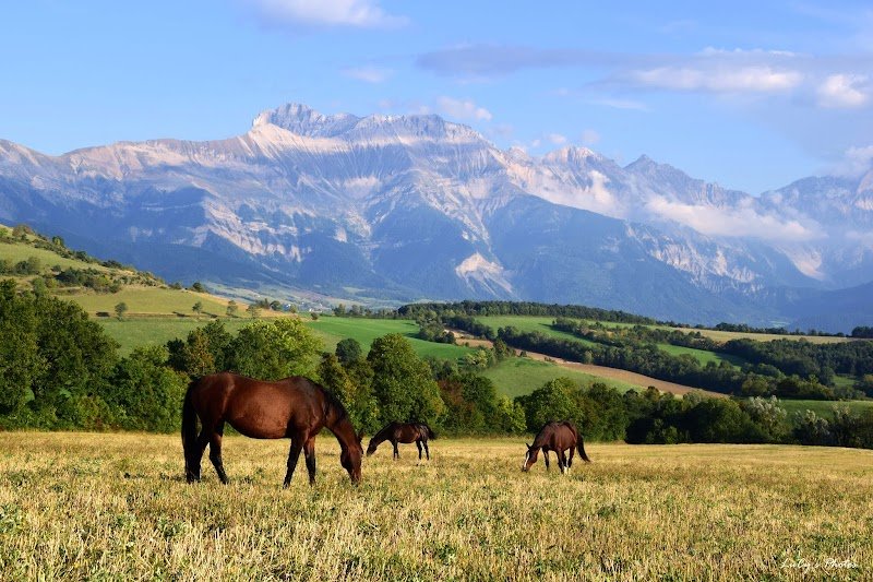 Les Ecuries de Cornillon - photo 1