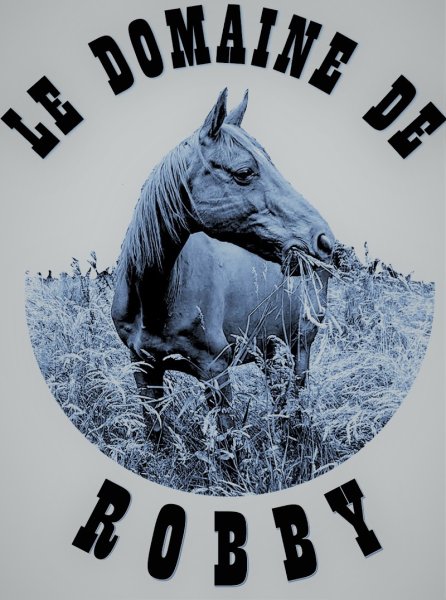 Le domaine de Robby Écurie chevaux et poneys - photo 2