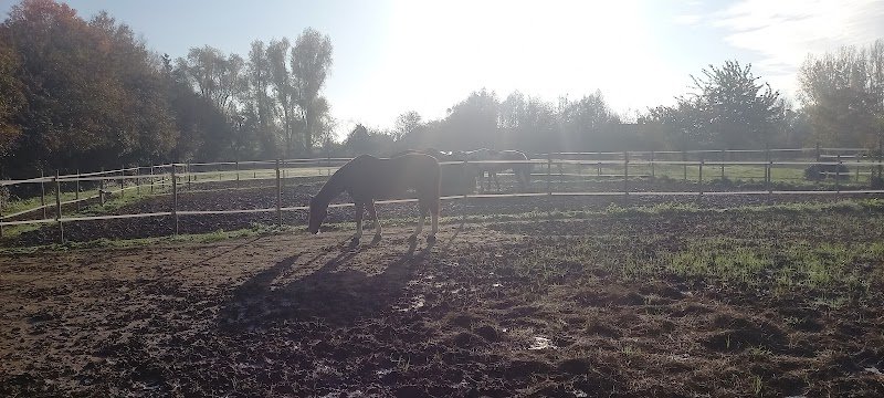 Les écuries du bonheur - photo 2