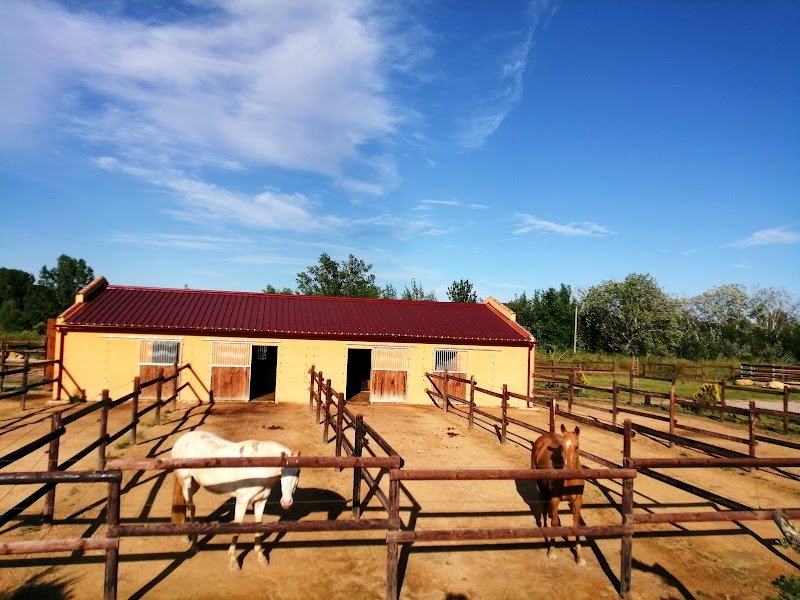 Ecurie Gonzalez - photo 2