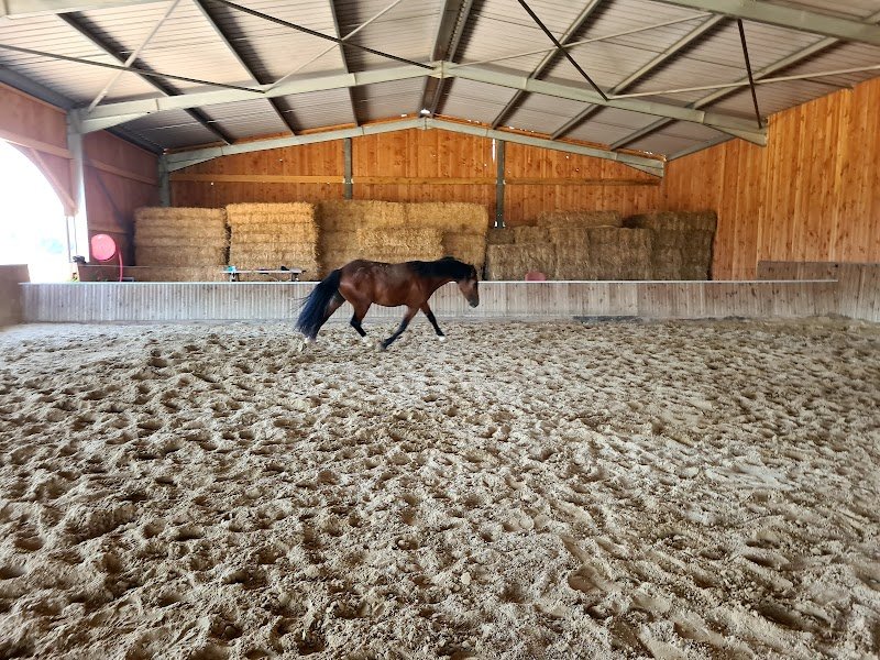 Ecurie Gonzalez - photo 3