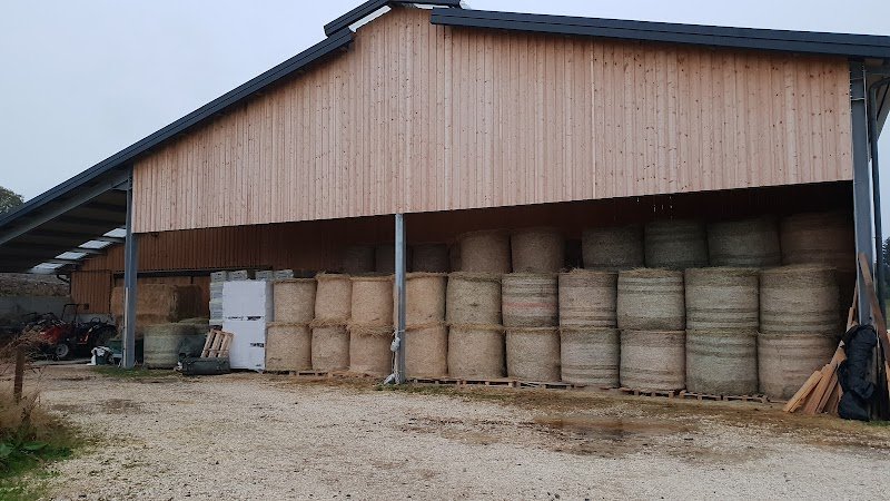 Le Manege Des Corthies - photo 3