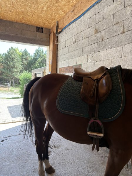 Les écuries du rucher - photo 3