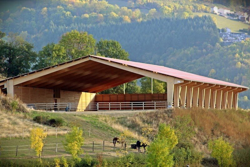 Ecuries Phil Horse - photo 1