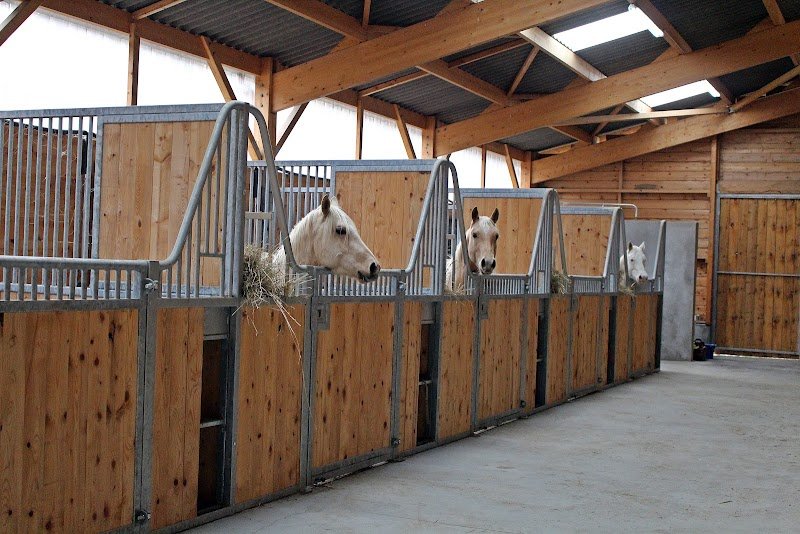 Ecuries Phil Horse - photo 2