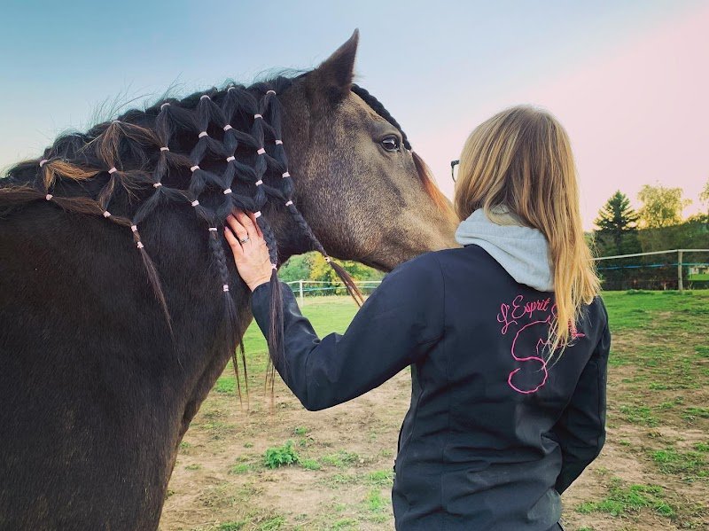 L'Esprit Cheval - photo 1