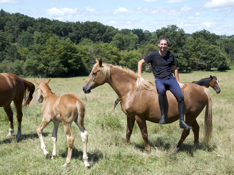 Ecurie Elevage de Boyer | Roanne / Nandax - photo 2
