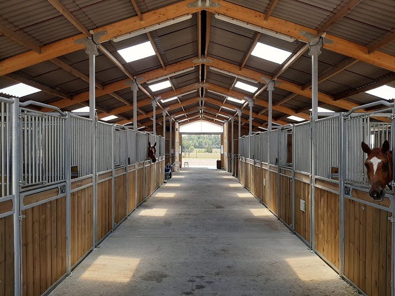 Ecurie Elevage de Boyer | Roanne / Nandax - photo 3