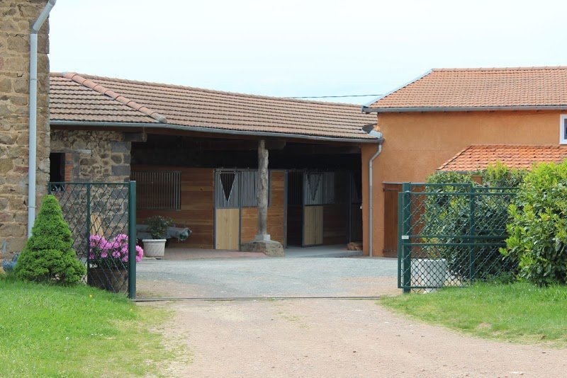 AMPLITUDE STABLES - photo 2