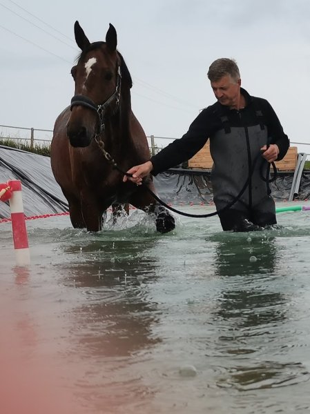 AMPLITUDE STABLES - photo 3