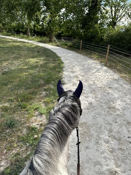 les écuries De Champlong - photo 1