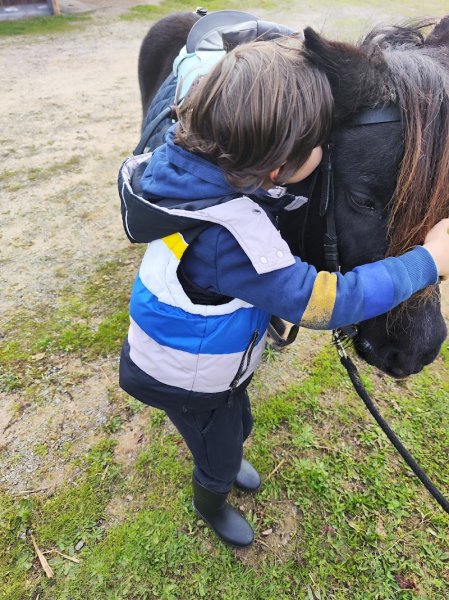Écuries de fay - photo 1