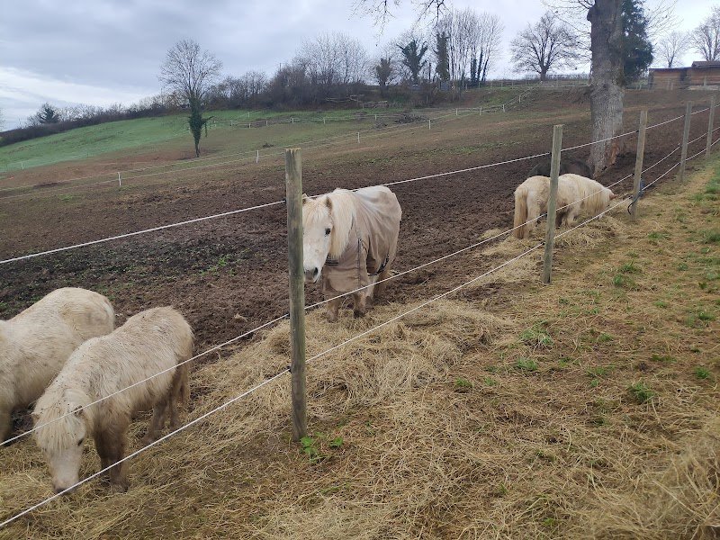 Centre Équestre Lachana - photo 2