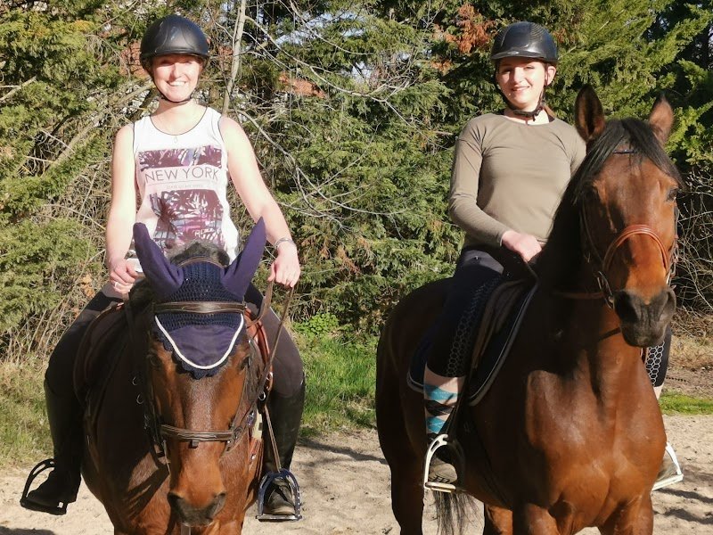 HNG Stables - photo 1