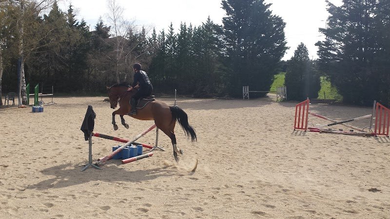 HNG Stables - photo 2