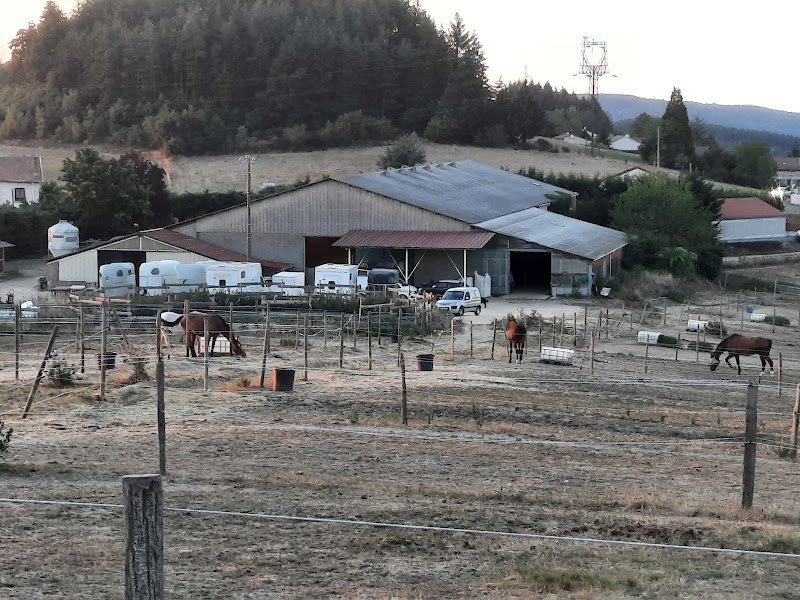 HNG Stables - photo 3