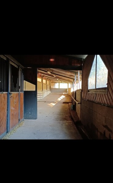CENTRE EQUESTRE D UNIEUX - photo 2