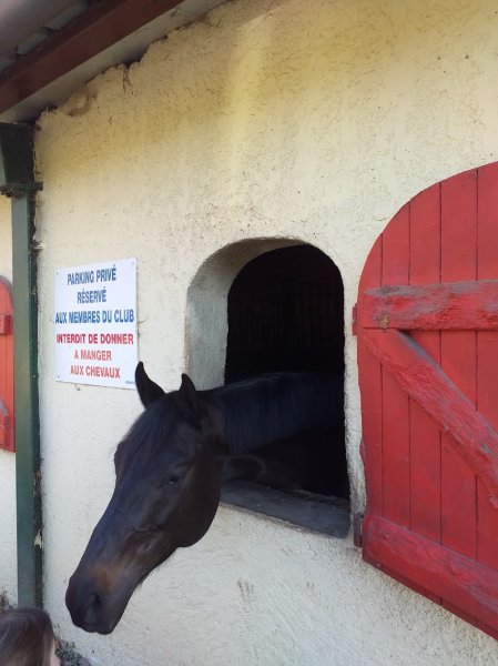 CENTRE EQUESTRE D UNIEUX - photo 3