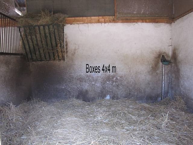 Les Ecuries de Rossinante - photo 3