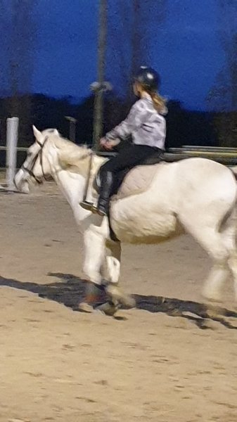 Centre Equestre de Montbrison - photo 3