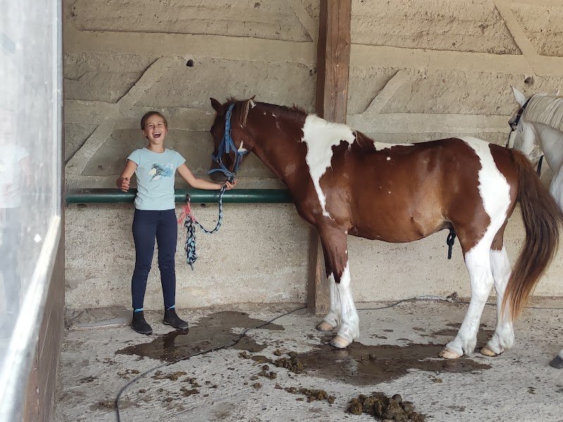 Earl Ecurie Bertrand Bougault - photo 1