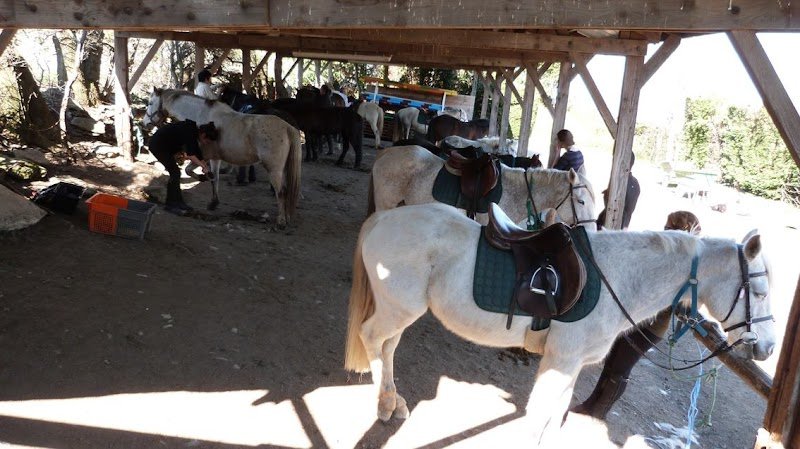 Centre Equestre de Farnay - photo 1