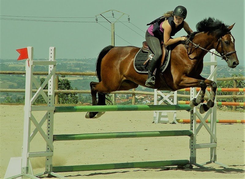 Centre Equestre de Farnay - photo 3