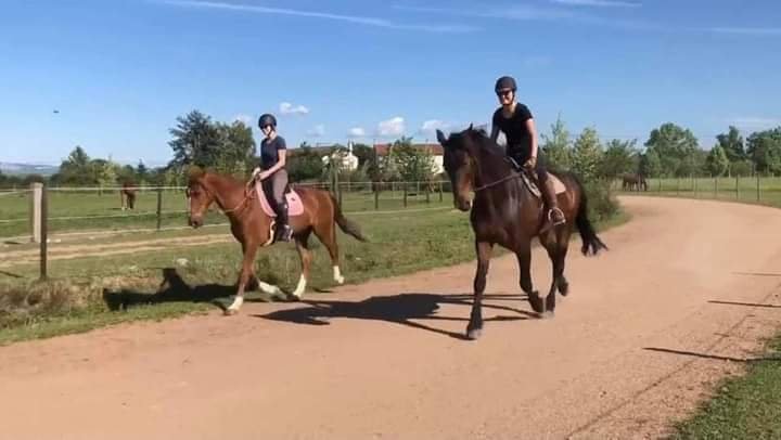 Écurie de mai - photo 2