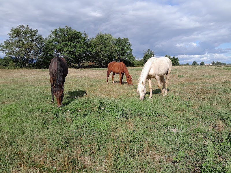 Écurie de mai - photo 3