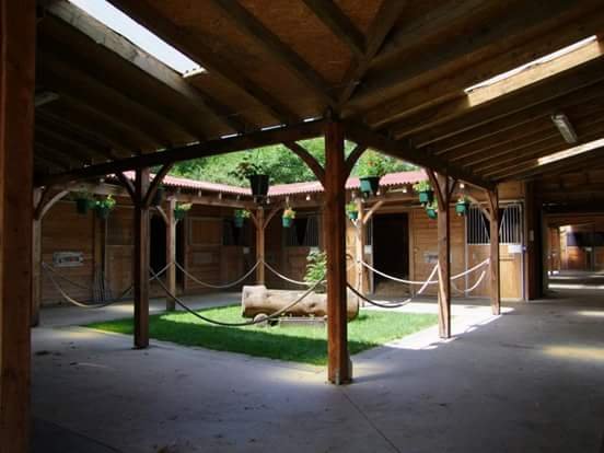 Ecurie du Nirvana - photo 2