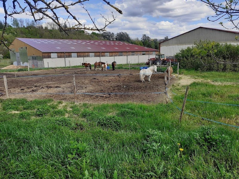 Centre Equestre du Galinay - photo 2