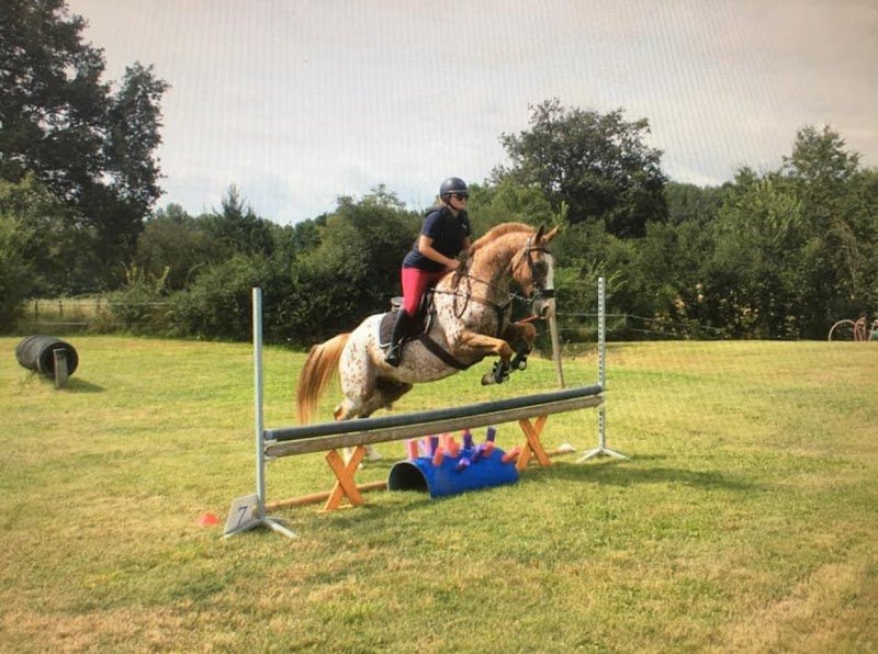 Les Ecuries De Goyaka - photo 3