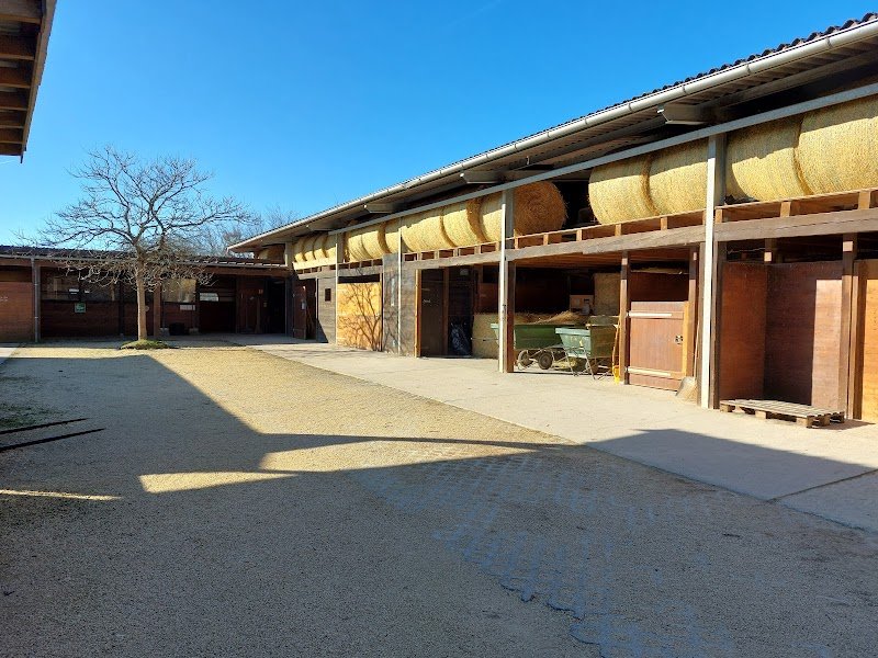 Écurie Failletaz, manège privé. Pension pour chevaux - photo 2