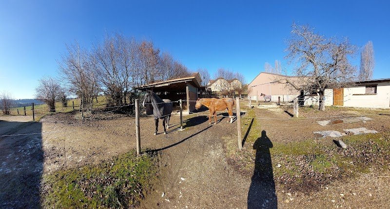 Écurie Failletaz, manège privé. Pension pour chevaux - photo 3