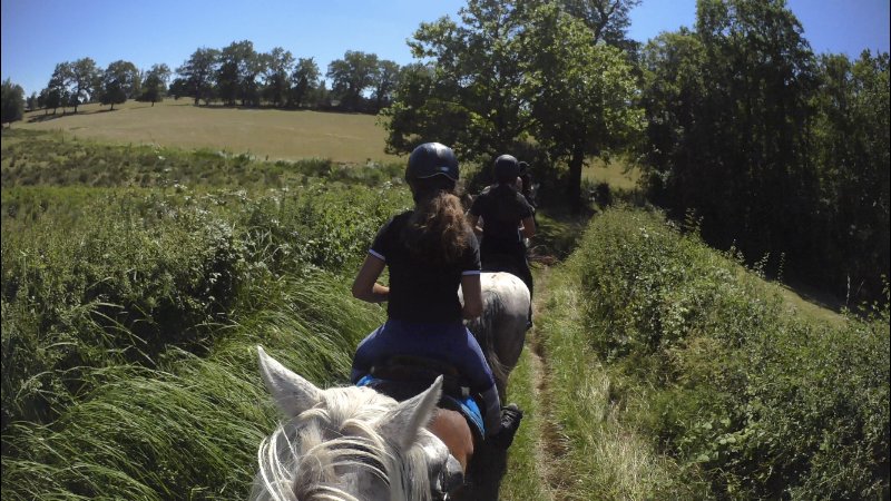 Ferme Equestre de Joux