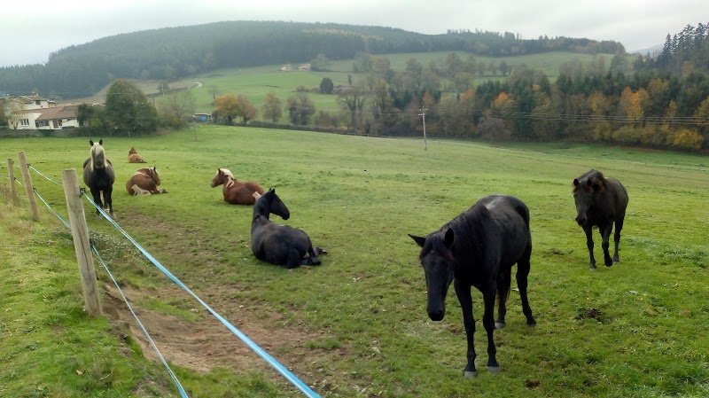 La ferme du cheval noir - photo 2