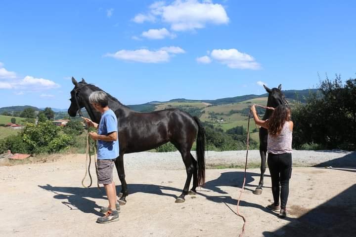 La ferme du cheval noir - photo 3