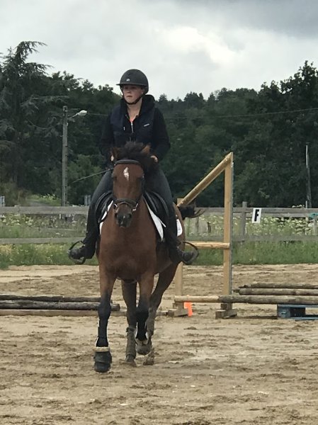 Centre équestre - Poneys Club Des Bréats - photo 2