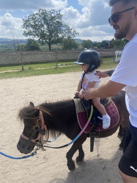 Centre équestre - Poneys Club Des Bréats - photo 3