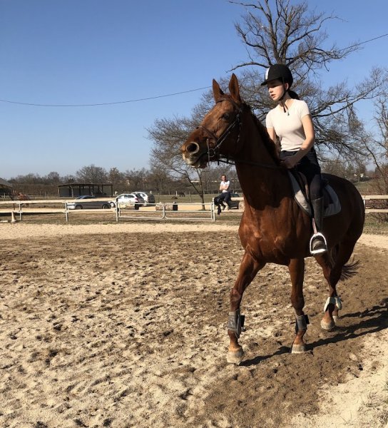 Poney Club du Forez - photo 2