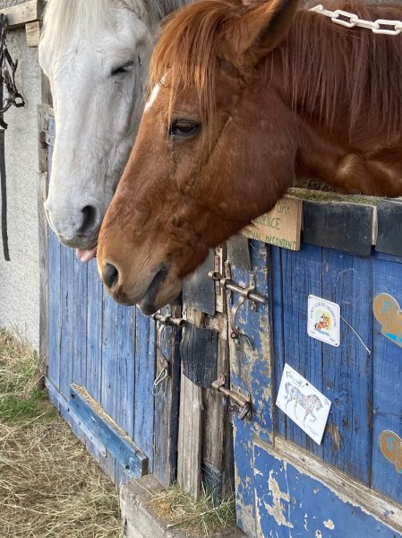 Centre équestre de Braille Michael Duc - photo 2