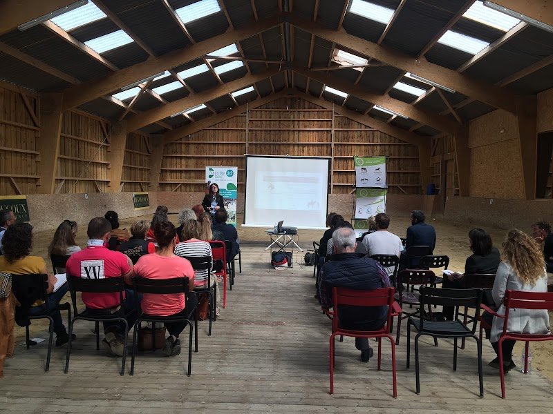 Horse Development - photo 2