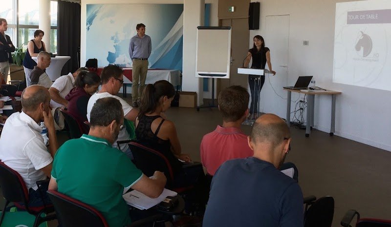 Horse Development - photo 3