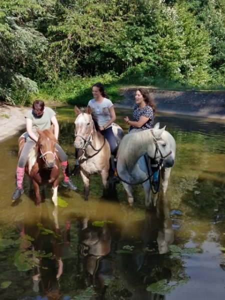 LA FERME EQUESTRE DU ROUSSET